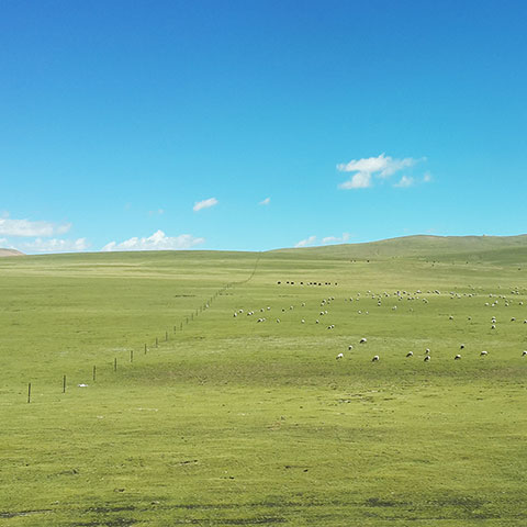 Tibetan Plateau